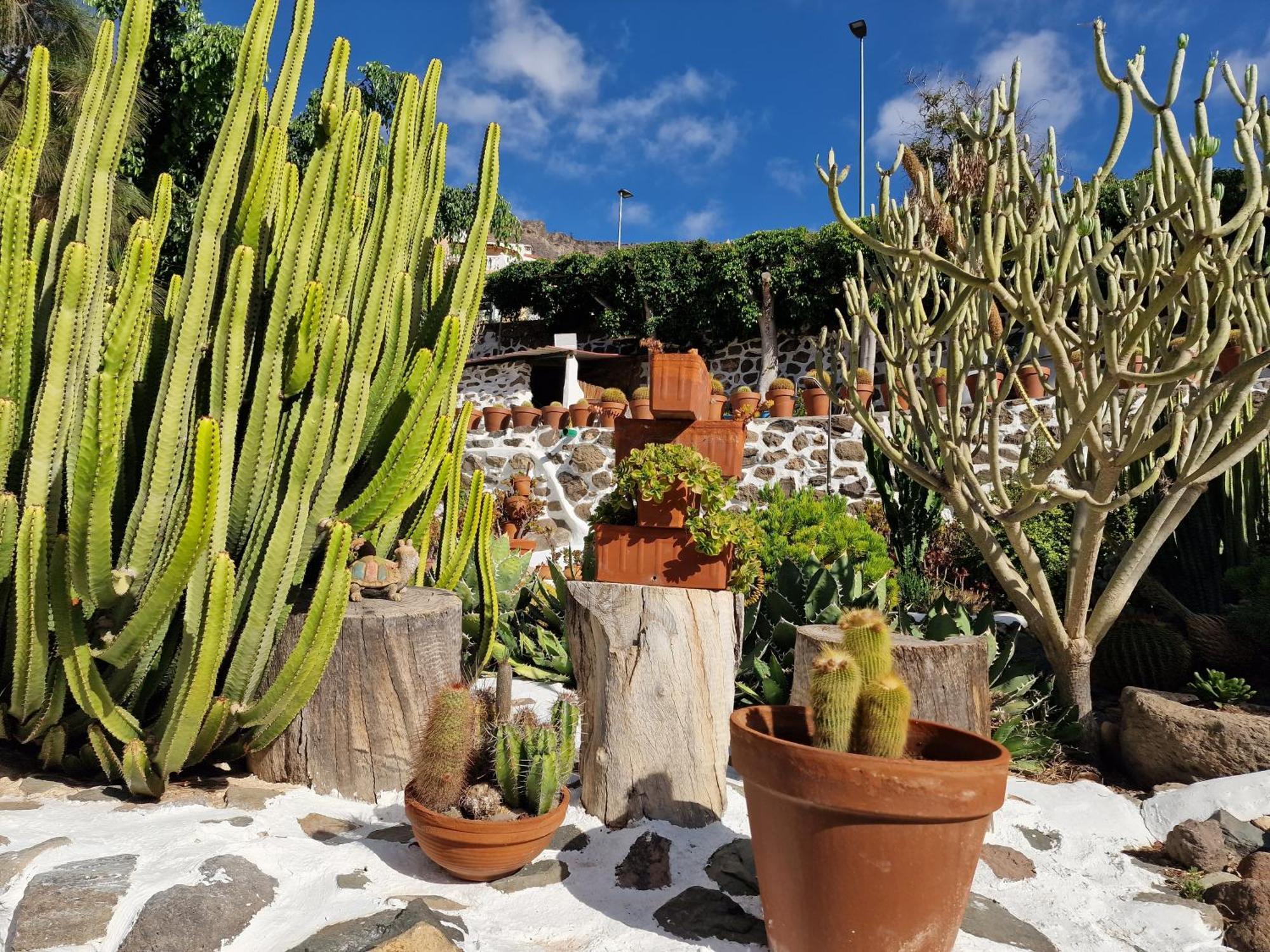 فيلا Historica Casa Con Vistas Al Jardin De Cactus Y Montanas Mogán المظهر الخارجي الصورة