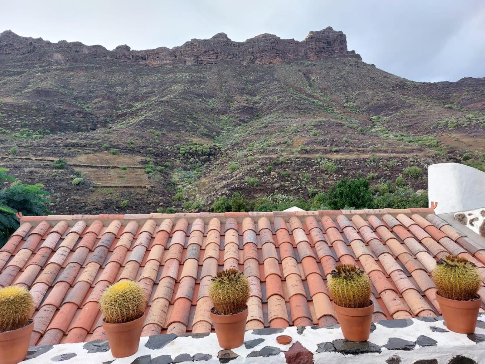 فيلا Historica Casa Con Vistas Al Jardin De Cactus Y Montanas Mogán المظهر الخارجي الصورة